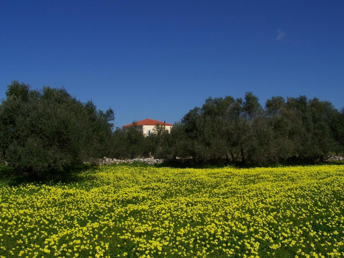 Manolo S Olive Farm, Apartment With Seaview Hriszí Aktí Haniá Kültér fotó