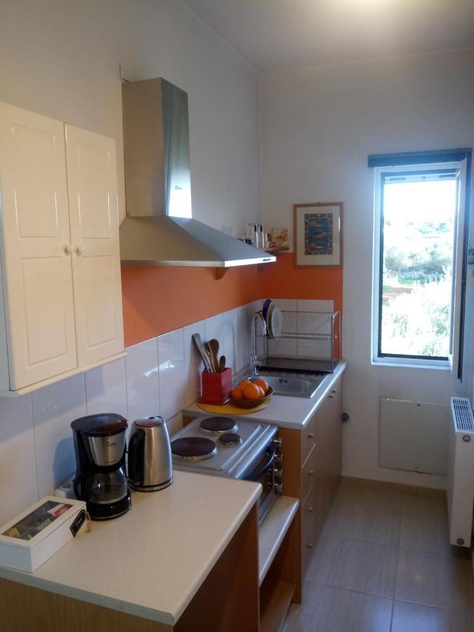 Manolo S Olive Farm, Apartment With Seaview Hriszí Aktí Haniá Kültér fotó