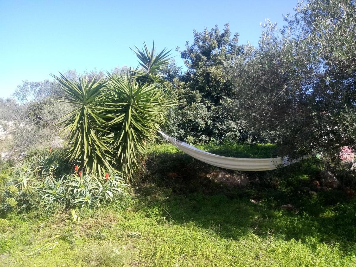 Manolo S Olive Farm, Apartment With Seaview Hriszí Aktí Haniá Kültér fotó