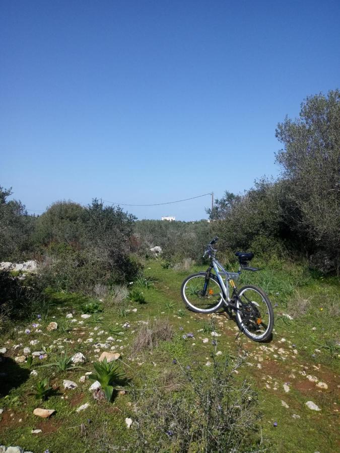 Manolo S Olive Farm, Apartment With Seaview Hriszí Aktí Haniá Kültér fotó