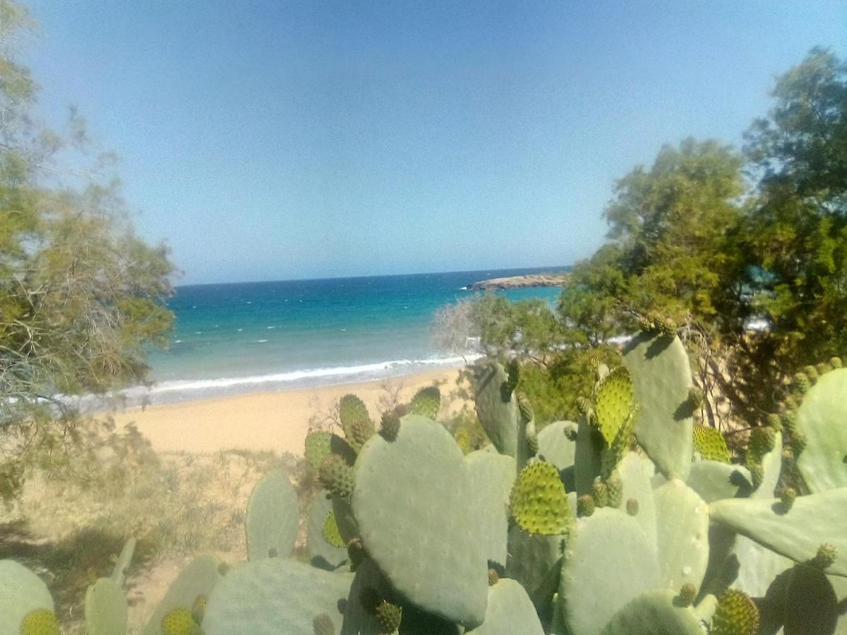 Manolo S Olive Farm, Apartment With Seaview Hriszí Aktí Haniá Kültér fotó