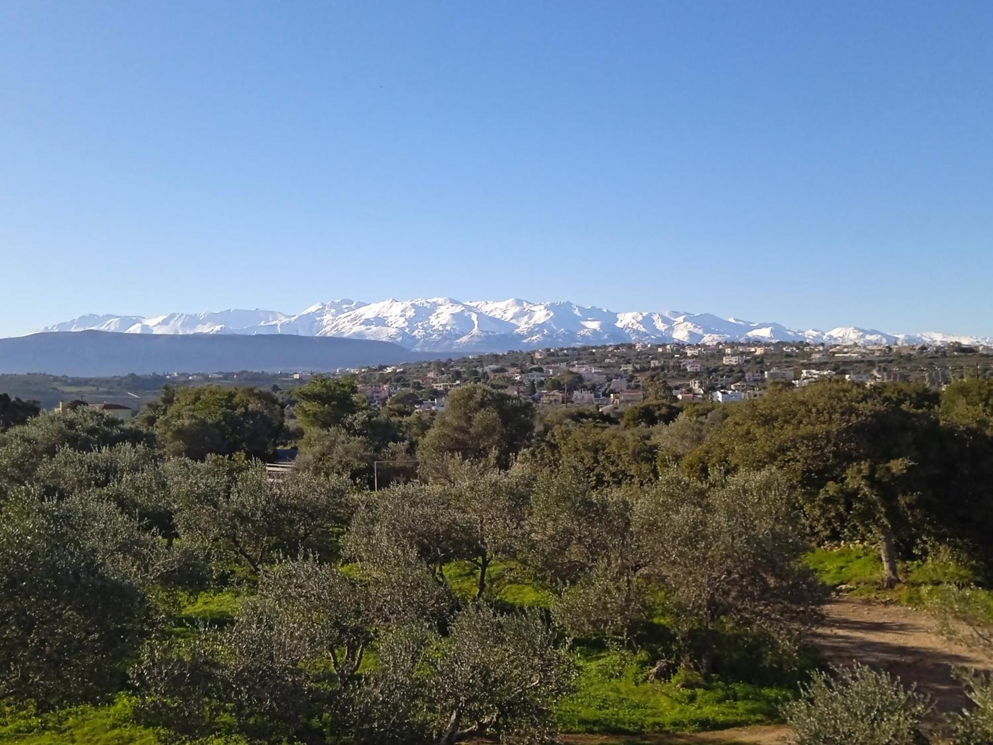 Manolo S Olive Farm, Apartment With Seaview Hriszí Aktí Haniá Kültér fotó